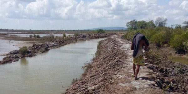 အရင္းအႏီွး  ေမွ်ာ္လင့္ေနေသာ ေက်ာက္ျဖဴၿမိဳ႕နယ္္ ပုစြန္ေမြးျမဴေရး