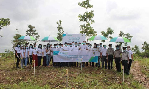 AGD ဘဏ်မိသားစုမှ မြန်မာနိုင်ငံအနှံ့ တွင် ယခုနှစ်အတွက် သစ်ပင်ပေါင်း ၄၅၀၀ ကျော် စိုက်ပျိုးခဲ့ကြောင်းသိရသည်။