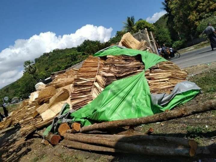 ပေါင်မြို့နယ်တွင် သစ်ပါးလွှာများတင်လာသည့်တွဲကား အရှိန်လွန်တိမ်းမှောက်