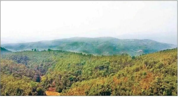 မိုင်းပျဥ်းမြို့နယ်ရှိ ဧက တစ်သောင်းကျော်အ ကျယ်အဝန်းအား “ကိုးကွေ့တောင်ကြိုးပြင်ကာကွယ်တော”အဖြစ်သတ်မှတ်