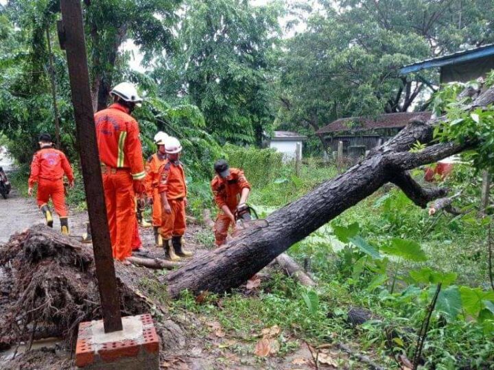 ရန်ကုန်တိုင်းရှိ မြို့နယ်အချို့တွင် လေ ပြင်းတိုက်ခတ်ကာမိုးသည်းထန်စွာရွာ သွန်း၍ သစ်ပင်များပြိုလဲခဲ့
