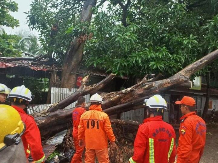 ရန်ကုန်တိုင်းအတွင်း မိုးသည်းထန်စွာရွာသွန်းမှုကြောင့် မြို့နယ် ၅ ခုတွင် သစ်ပင်များလဲကျခဲ့