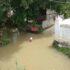 တံတားဦးမြို့နယ်၌ ဧရာဝတီမြစ်ရေမြင့်တက်ကာ ကျေးရွာအချို့အတွင်းရေဝင်ရောက်၍ လူဦးရေ ၈၀၀ ခန့်အား ရေလွတ်ရာသို့ရွှေ့ပြောင်းပေးခဲ့ရ