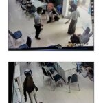 89f56174-87a2-4183-8002-71b1662b0db6