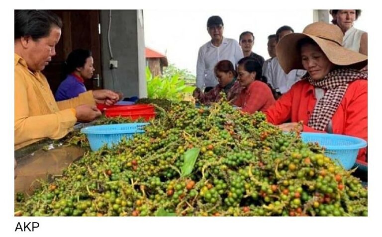 ကမ္ဘောဒီးယားငရုတ်ကောင်းနှင့်ရေထွက်ပစ္စည်းများအား တရုတ်သို့တင်ပို့မည်