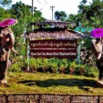 msg-557526057-137687