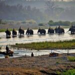 msg-557526057-137688