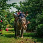 msg-557526057-137690