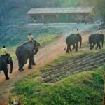 msg-557526057-137695