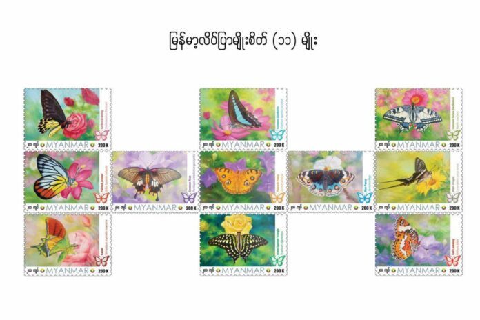 photo_6221723272215645183_y