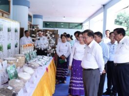 ဝါစိုက်တောင်သူများအတွက် နိုင်ငံ့စီးပွားမြှင့်တင်ရေး ရန်ပုံငွေမှ တစ်ဧကလျင်(၃)သိန်းကျပ်ထုတ်ချေးပေးမည်